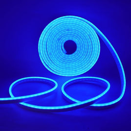NEON FLEXIBLE STRIP LIGHT  5M 16.4ft / 5MLED Strip Lights, 12V for Kitchen Bedroom Indoor Outdoor Home Blue,Red,green,Yellow,Pink,White
